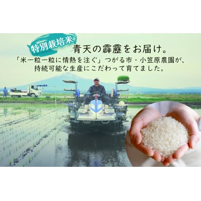 青天の霹靂(特別栽培米) 白米5kg 令和7年産 [0898]
