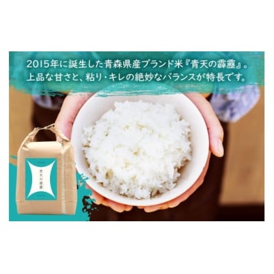 青天の霹靂(特別栽培米) 白米10kg 令和7年産 [0899]