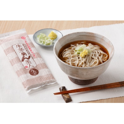 牛蒡めん美人 1箱 [0378]