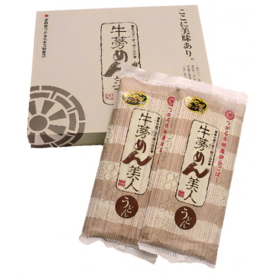 牛蒡めん美人 1箱 [0378]