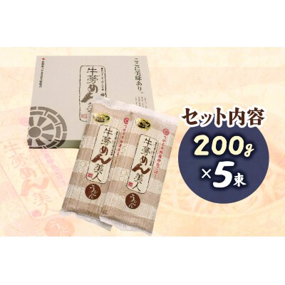 牛蒡めん美人 1箱 [0378]