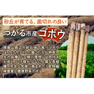 牛蒡めん美人 1箱 [0378]