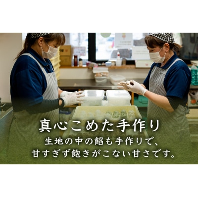 しとぎ餅 あんこ入り (110g×10個)|もち 餡 [0387]