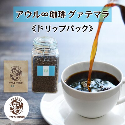 アウル∞珈琲 グァテマラ [0668]