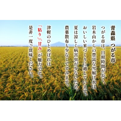 つがる市産「津軽のひとめぼれ」10kg [0897]