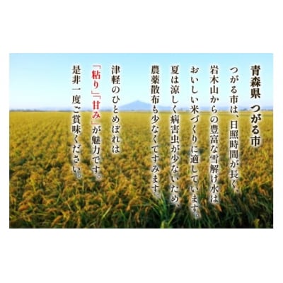 つがる市産「津軽のひとめぼれ」10kg [0897]