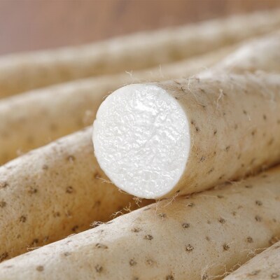 青森県つがる市産 長いも5kg|長芋 長いも ながいも [0604]