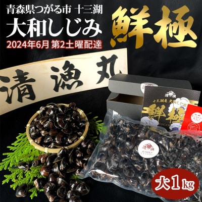 十三湖産 大和しじみ -鮮極- 大 1kg [0477]