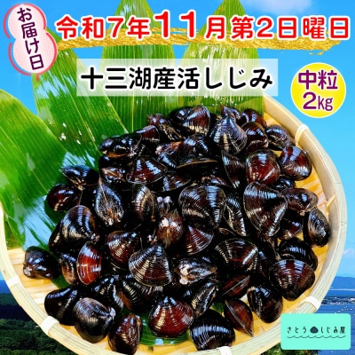 さとうしじみ屋の十三湖産活しじみ(中粒2kg) [0804]