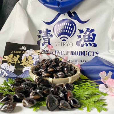 十三湖産 大和しじみ -鮮極- 中 1kg [0498]