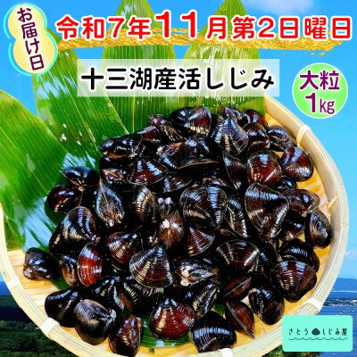 さとうしじみ屋の十三湖産活しじみ(大粒1kg) [0817]