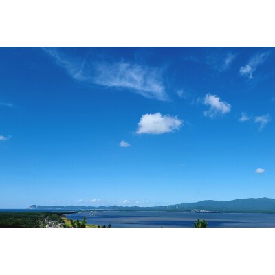 さとうしじみ屋の十三湖産活しじみ(大粒1kg) [0821]