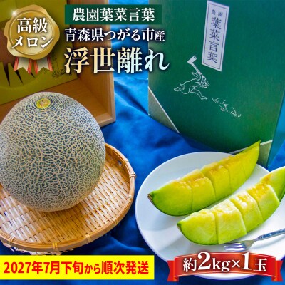 高級 タカミ メロン 浮世離れ 1玉 [0893]