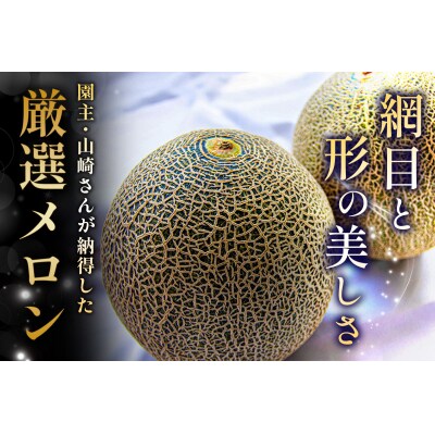 高級 タカミ メロン 浮世離れ 1玉 [0893]