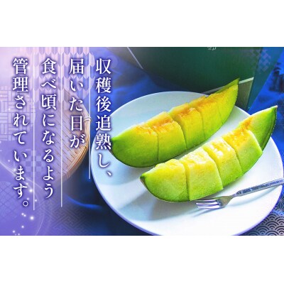 高級 タカミ メロン 浮世離れ 1玉 [0893]