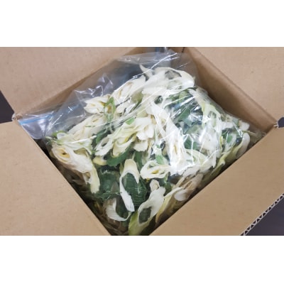 乾燥ネギ(エアードライ製法) 150g 青森県 つがる市産|ねぎ 野菜 ラーメン 具材 [0914]