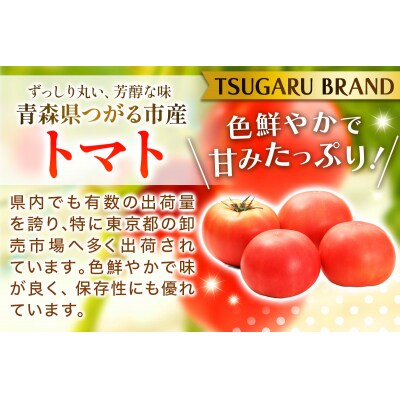 乾燥トマト(エアードライ製法) 100g  [0523]