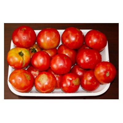 乾燥トマト(エアードライ製法) 100g  [0523]