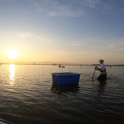 [冷凍] 十三湖産 大和しじみ -飲む黒いダイヤ- 600g  [0767]