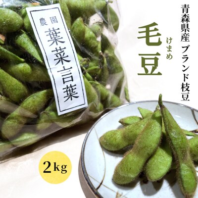 葉菜言葉のおいしい毛豆 2kg [0533]