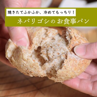国産小麦 ネバリゴシ中力系 800g×3 [0572]