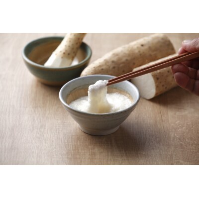 砂丘 ながいも 10kg|青森 つがる市産 長芋 なが芋 野菜 とろろご飯 おつまみ [0525]