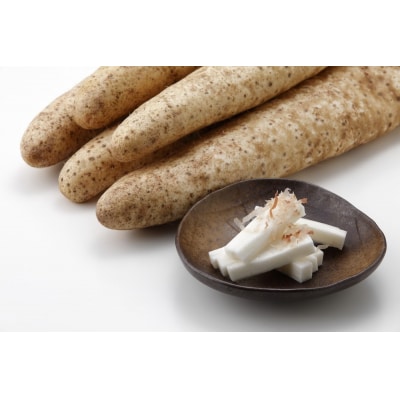 砂丘 ながいも 10kg|青森 つがる市産 長芋 なが芋 野菜 とろろご飯 おつまみ [0525]