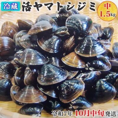 十三湖産 冷蔵 活ヤマトシジミ 中 1.5kg [0564]