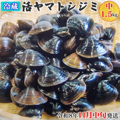 十三湖産 冷蔵 活ヤマトシジミ 中 1.5kg [0565]