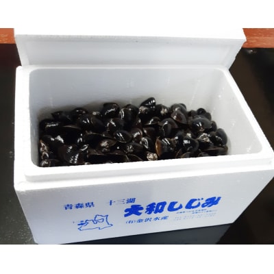 十三湖産 冷蔵 活ヤマトシジミ 中 1.5kg [0565]