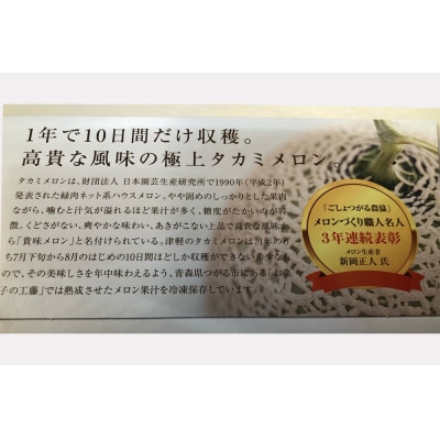 お菓子の工藤 メロンジェラート|アイス [0437]