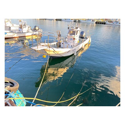 生田丸で船五目釣りツアーチャーター券 (出来島～車力沖)|東北 青森 日本海 [0602]