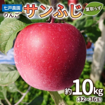 りんご サンふじ 葉取らず 約10kg(32から36玉) 青森産 [0832]