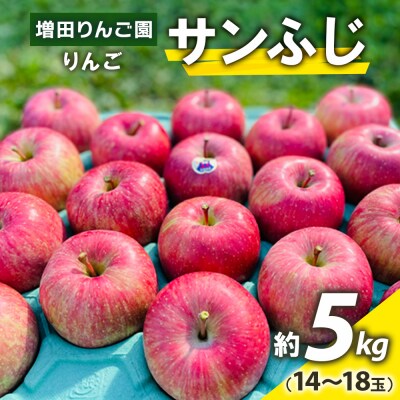 りんご サンふじ 約5kg(14玉から18玉) 青森産 つがる市 [0991]