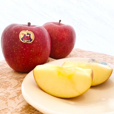 りんご 詰め合わせ 約10kg(32～36玉) 青森産 つがる市 [0610]