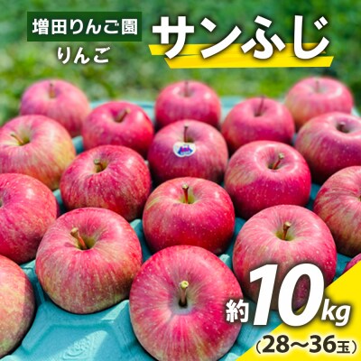 りんご サンふじ 約10kg(28玉から36玉) 青森産 つがる市 [0992]