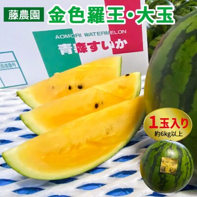 黄色いスイカ・金色羅王 大玉 1玉 [0621]