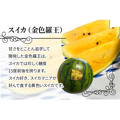 黄色いスイカ・金色羅王 大玉 1玉 [0621]