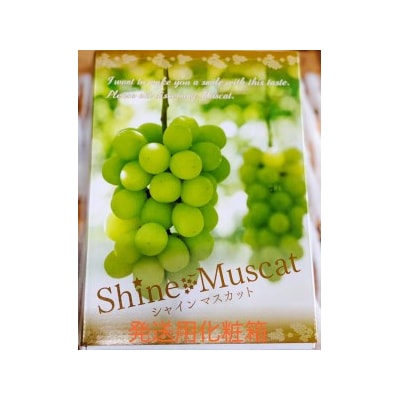 シャインマスカット 1房 (約550g以上) [0964]
