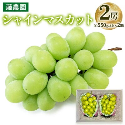 シャインマスカット 2房 (約550g以上×2房) [0965]