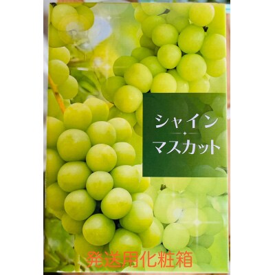 シャインマスカット 2房 (約550g以上×2房) [0626]