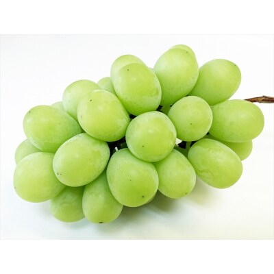 シャインマスカット 2房 (約550g以上×2房) [0965]