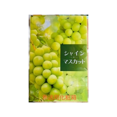 シャインマスカット 2房 (約550g以上×2房) [0965]