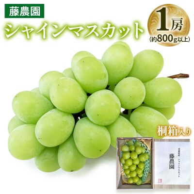 シャインマスカット 1房 桐箱入り (約800g) [0627]