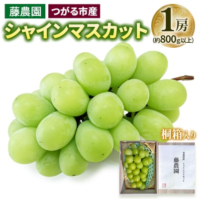 シャインマスカット 1房 桐箱入り (約800g) [0627]