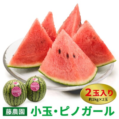 スイカ (小玉) ピノガール 2玉 [0834]