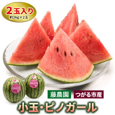 スイカ (小玉) ピノガール 2玉 [0834]