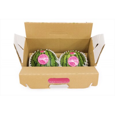 スイカ (小玉) ピノガール 2玉 [0834]