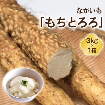 ながいも「もちとろろ」 3kg×1箱 [0631]