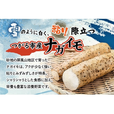 ながいも「もちとろろ」真空パック 15袋 (約3kg) [0966]